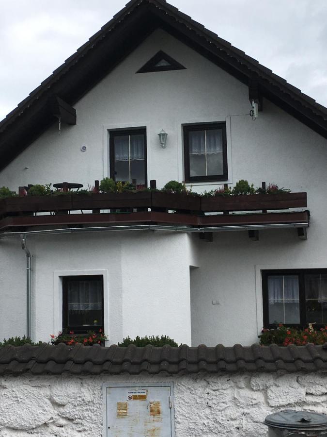 Penzion U Ryglu Vrchlabí Exterior photo